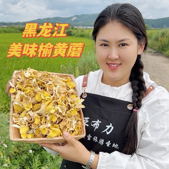 东北特产农家榆黄蘑（福利价）250克散装食用煲汤味道炖汤和做馅