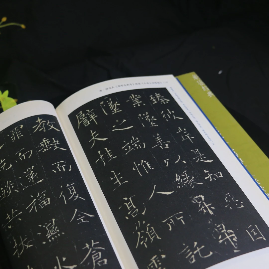 【10本全套】解密经典多宝塔碑醴泉铭礼器碑雁塔圣教序赵孟頫行书等
