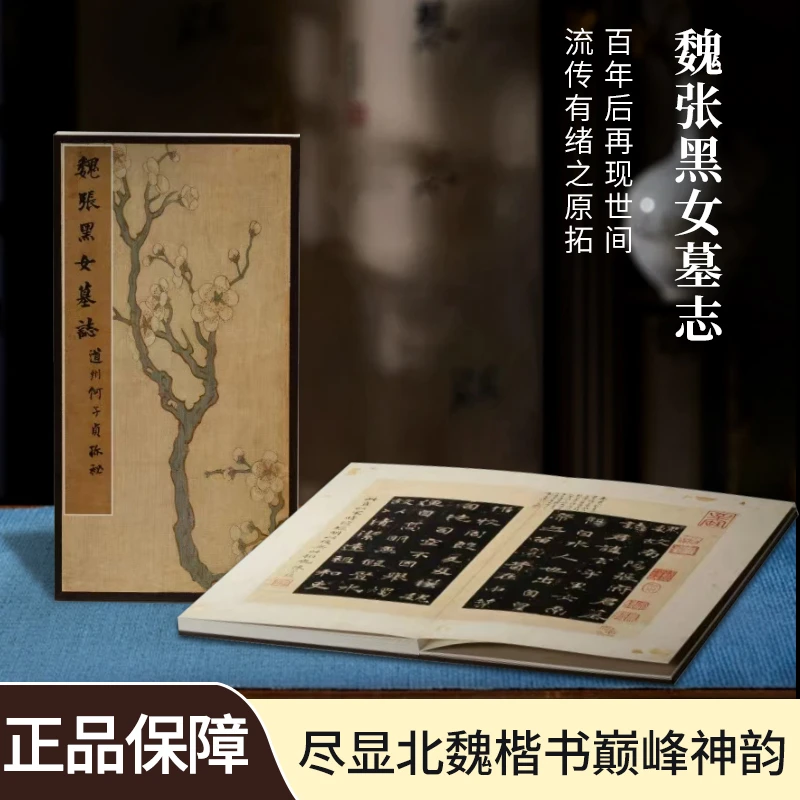 【魏张黑女墓志】精装版北魏楷书书法碑帖收藏鉴赏