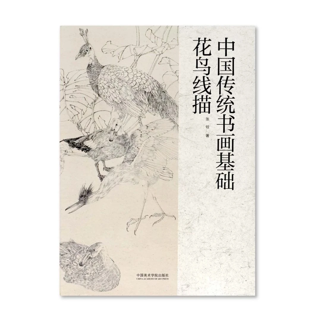 《中国传统书画基础花鸟线描》张铨著中国画线描美院基础部学习教材
