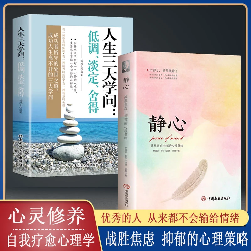 静心 战胜焦虑 抑郁的心理策略  积极心理学情绪管理人生三大学问