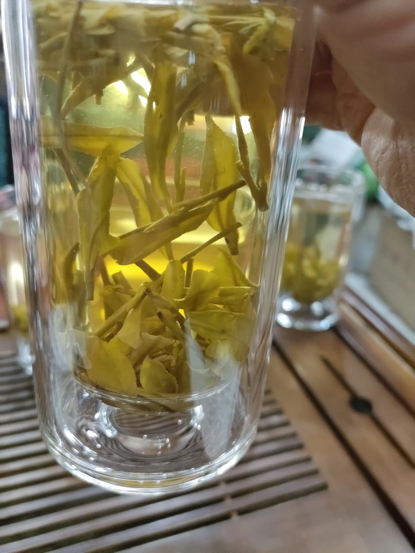 黄金芽茶香味扑鼻一斤