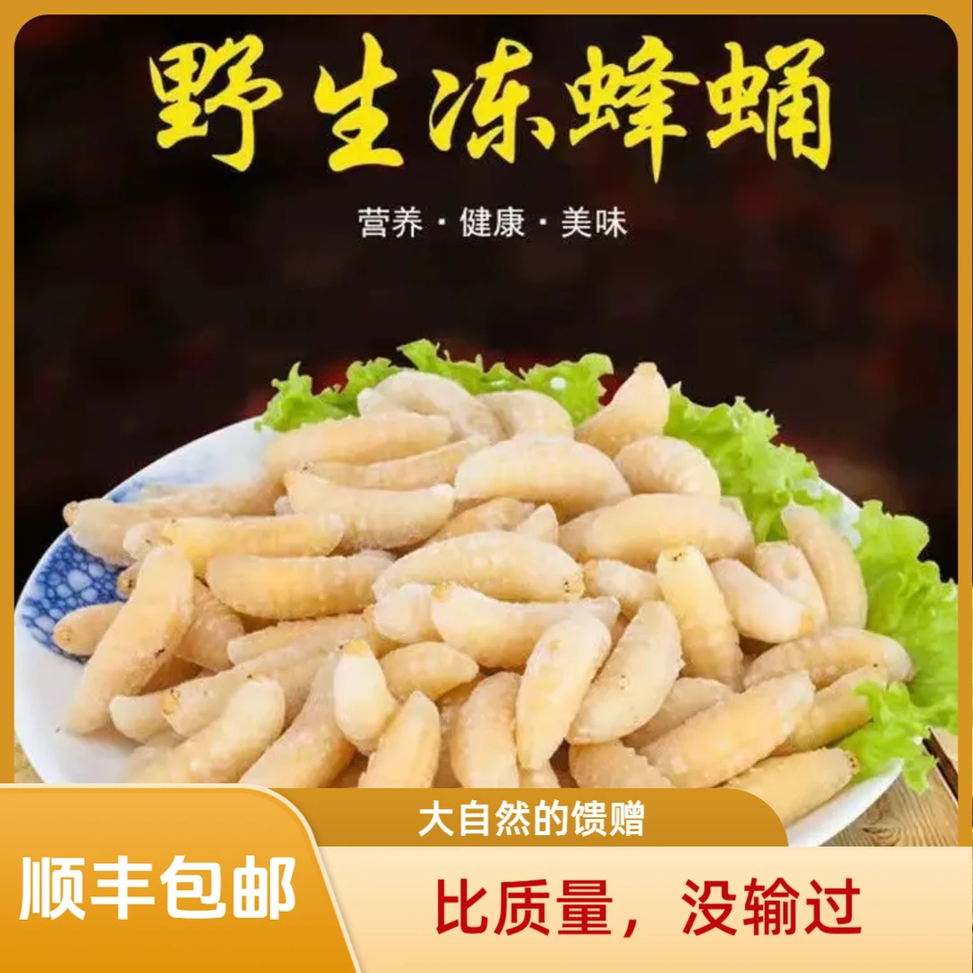 马蜂蛹新鲜野生金环虎头蜂蛹鲜活冷冻高蛋白可食用昆虫