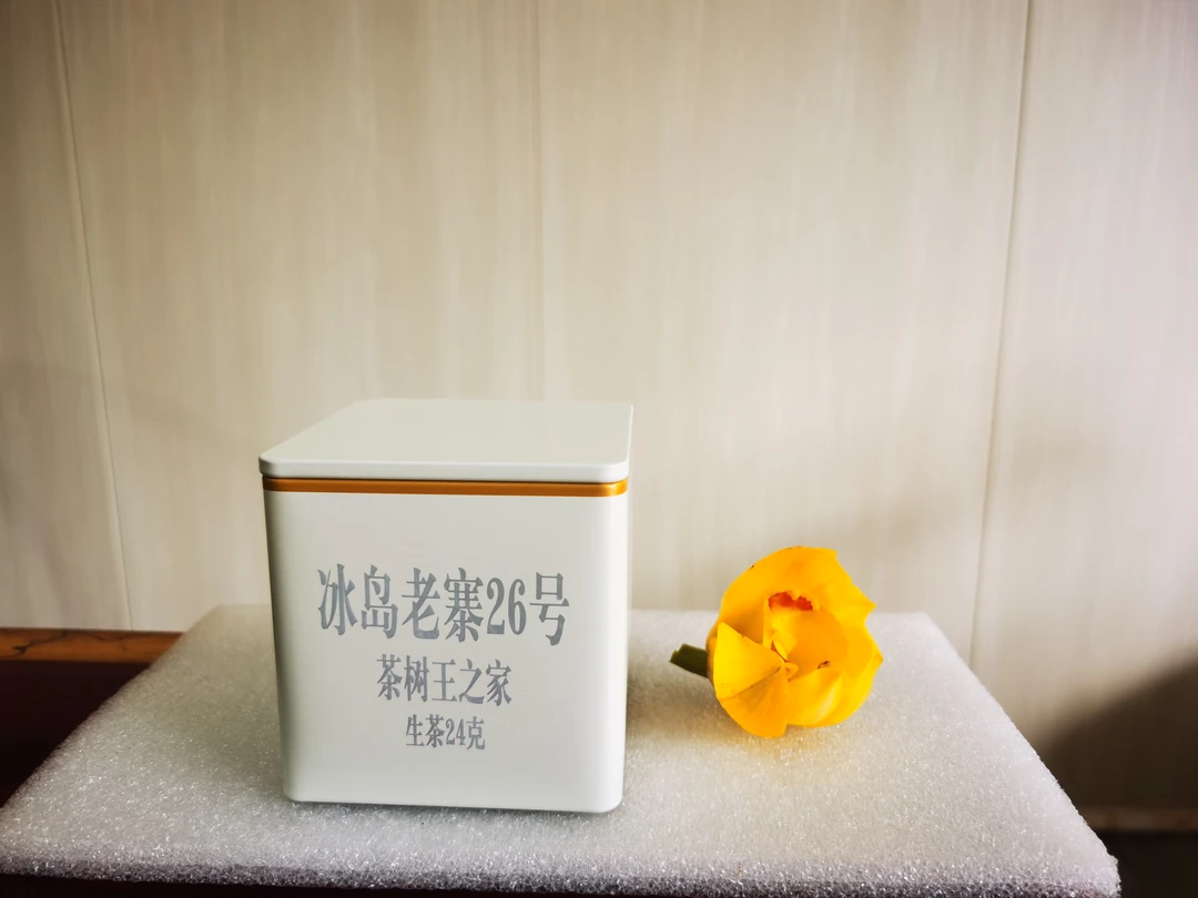 冰岛老寨26号2021年春茶大古树32克散料品鉴装