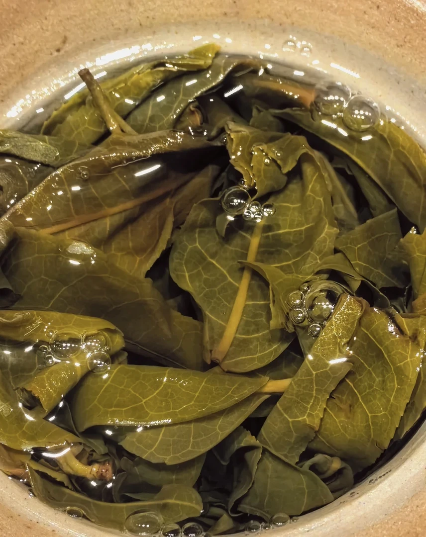 冰岛老寨26号  茶酒铺子姐姐 母亲节专属套餐