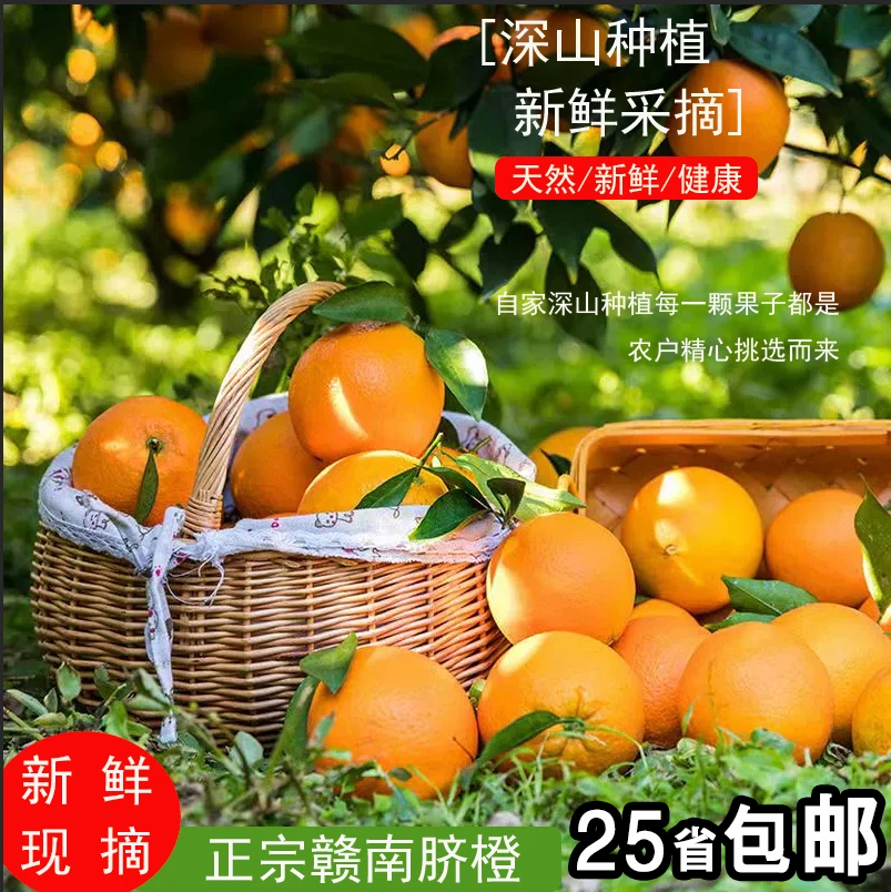 新鲜江西赣南脐橙现摘阳光橙子水果香甜农家采摘种植自然橙味多汁