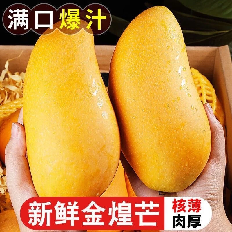 正宗海南芒果2.5-8斤批发薄皮金煌芒应季水果爆甜多肉水仙芒果