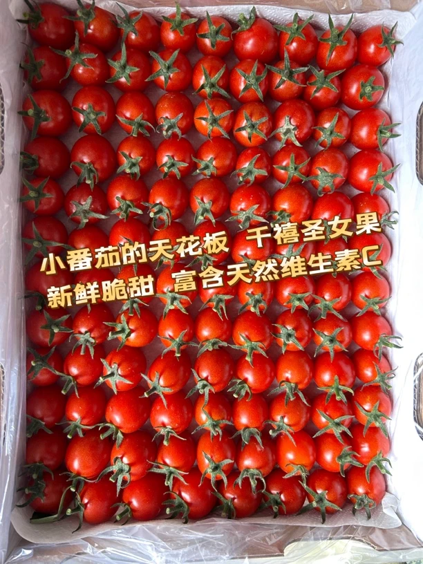 纯天然绿色千禧小番茄,产地直发，鲜红碧透，无核，口感清甜。