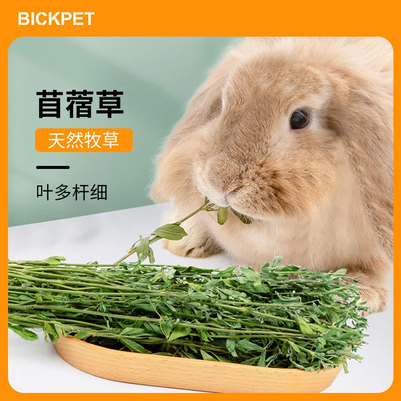 比克熊紫花苜蓿草兔子龙猫精选牧场新鲜优质烘干粮草磨牙粗纤维