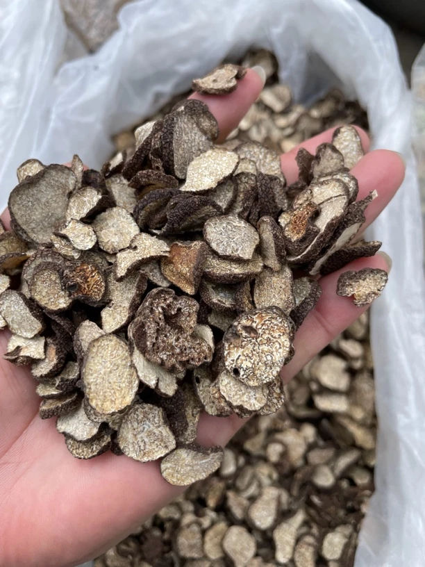 【云南优质黑松露】净含量100g----500g