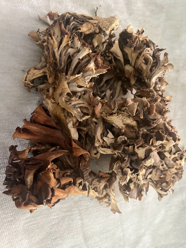 【农副食品】云南土特～干巴菌燥干处理