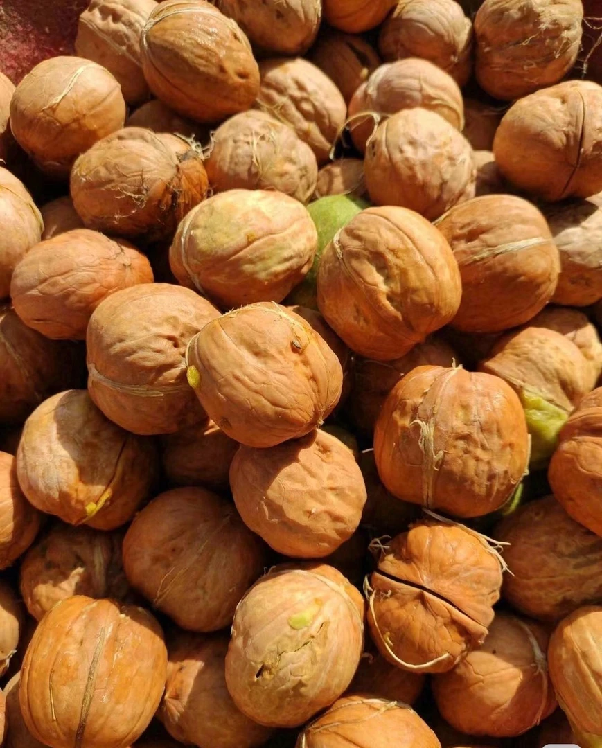 【农副产品】云南土特～本地老品种新鲜核桃