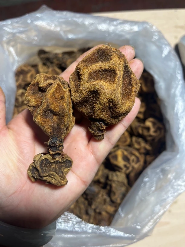 【云南高原山地汇/草】净含量1g-------5000g