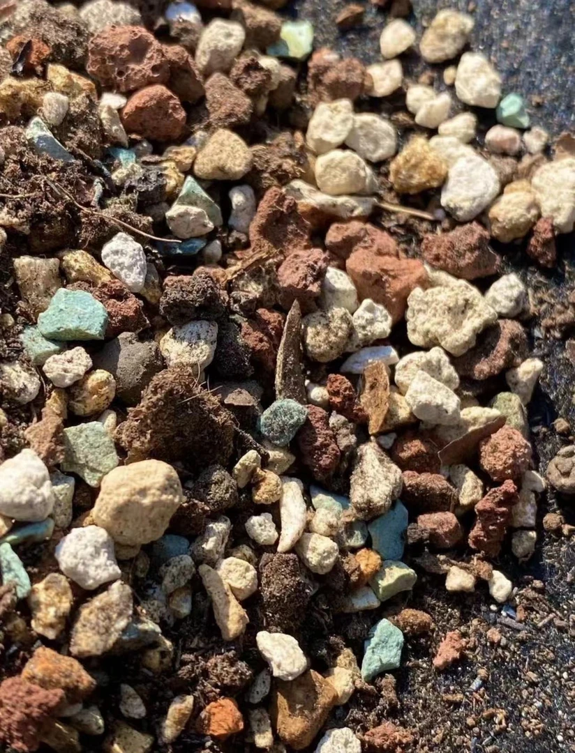 多肉颗粒土 星影 专用
