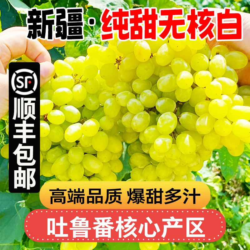 推荐5斤【顺丰包邮】LM新疆吐鲁番火焰山超甜无核白葡萄水果半斤