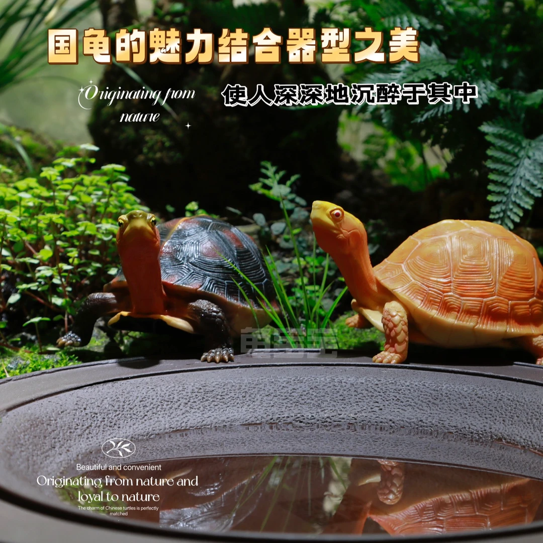 龟宝宝半水龟类紫砂水盆摆件手工圆形方便美观