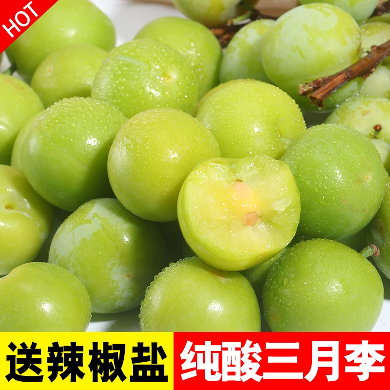 广东信宜特产三月李子酸脆青李子早熟三华李1斤2斤新鲜现摘包邮