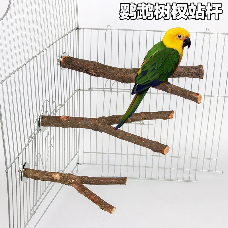 鹦鹉鸟磨抓棒鹦鹉木质树杈鸟站杠 鹦鹉树枝二分双树叉鹦鹉用品鸟