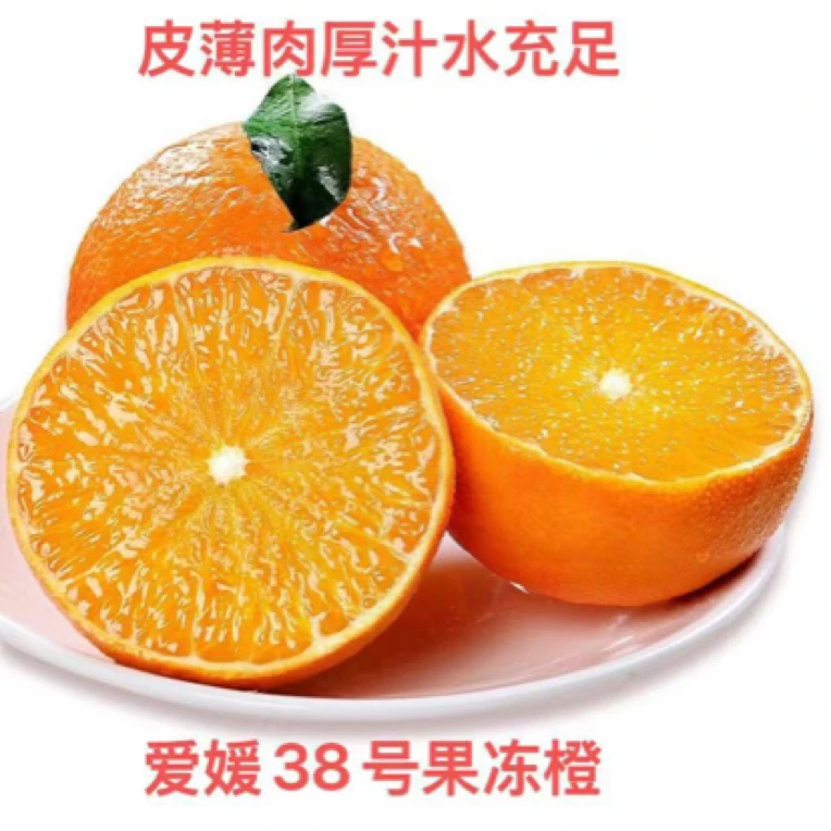 四川爱媛38号果冻橙产地现摘现发新鲜到家