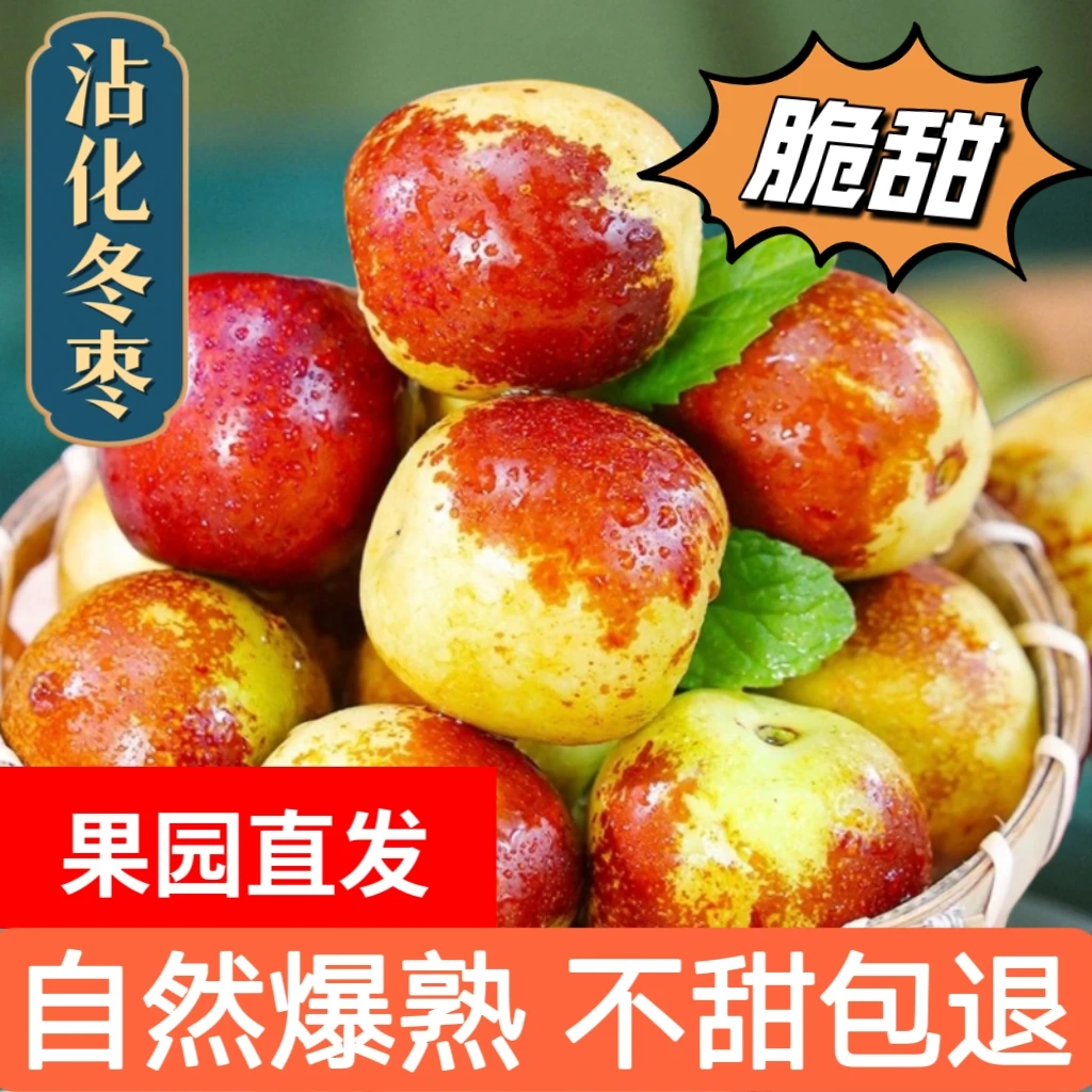 【原产地直发】沾化冬枣品质新鲜采摘5斤装皮薄肉厚甘甜爽口多汁Qy