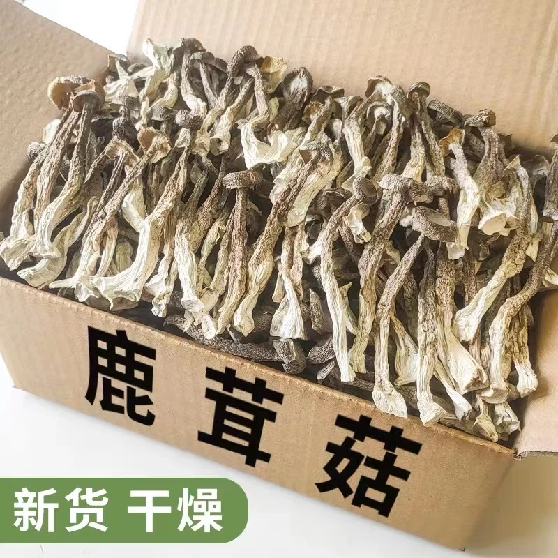 【免费试吃】肖太太鹿茸菌干货无熏硫食用菌脆脆菇福建古田营养严选