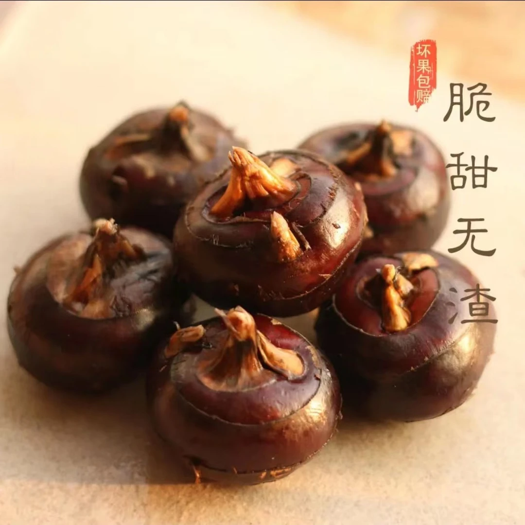 【华贵】新鲜马蹄大果5斤 荸荠地栗现挖带泥