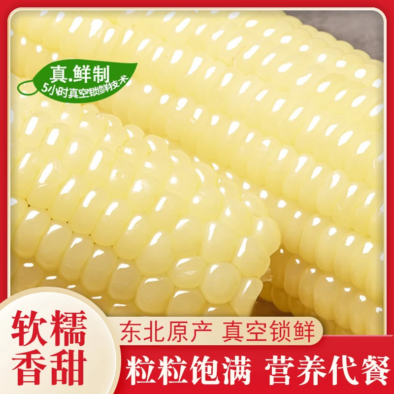 【10根5-6斤/箱含试吃2根】 东北白糯玉米丰收季甜糯营养代餐真空装