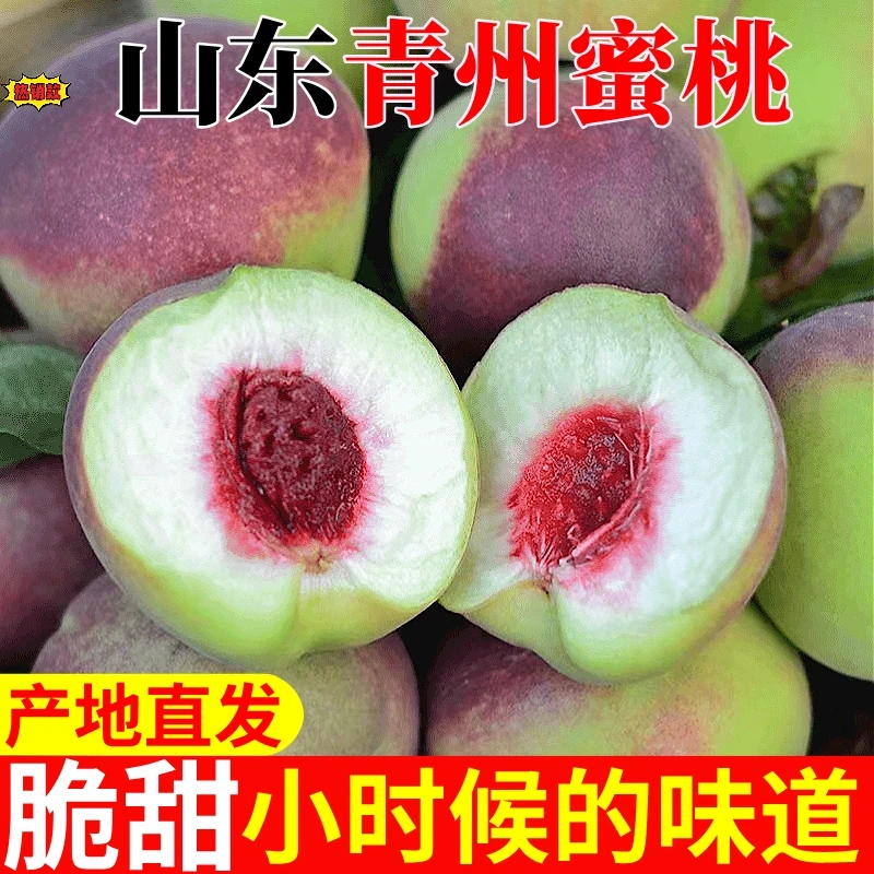 正宗青州蜜桃冬雪密脆甜离核毛桃应季水果桃子新鲜桃子冬桃脆毛桃