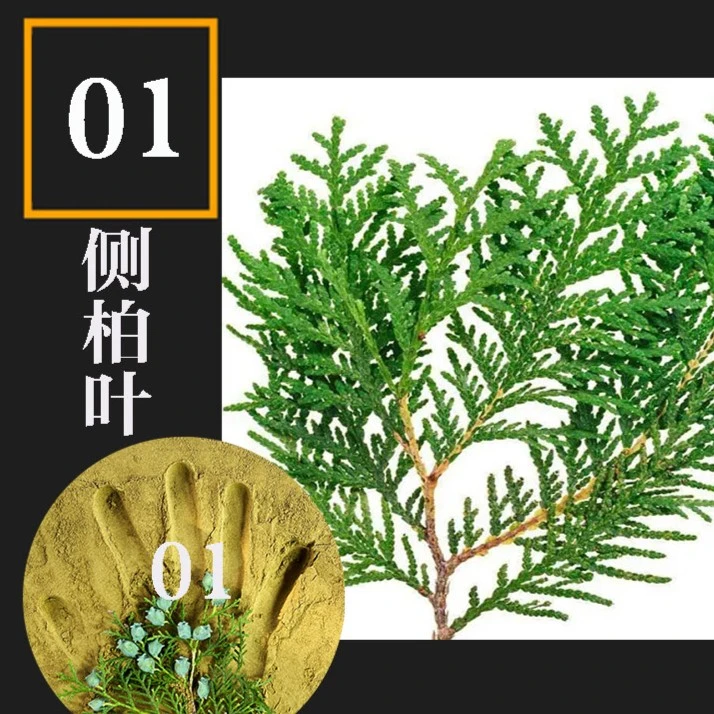 【1号链接】洗发洗头600g洗漱套装