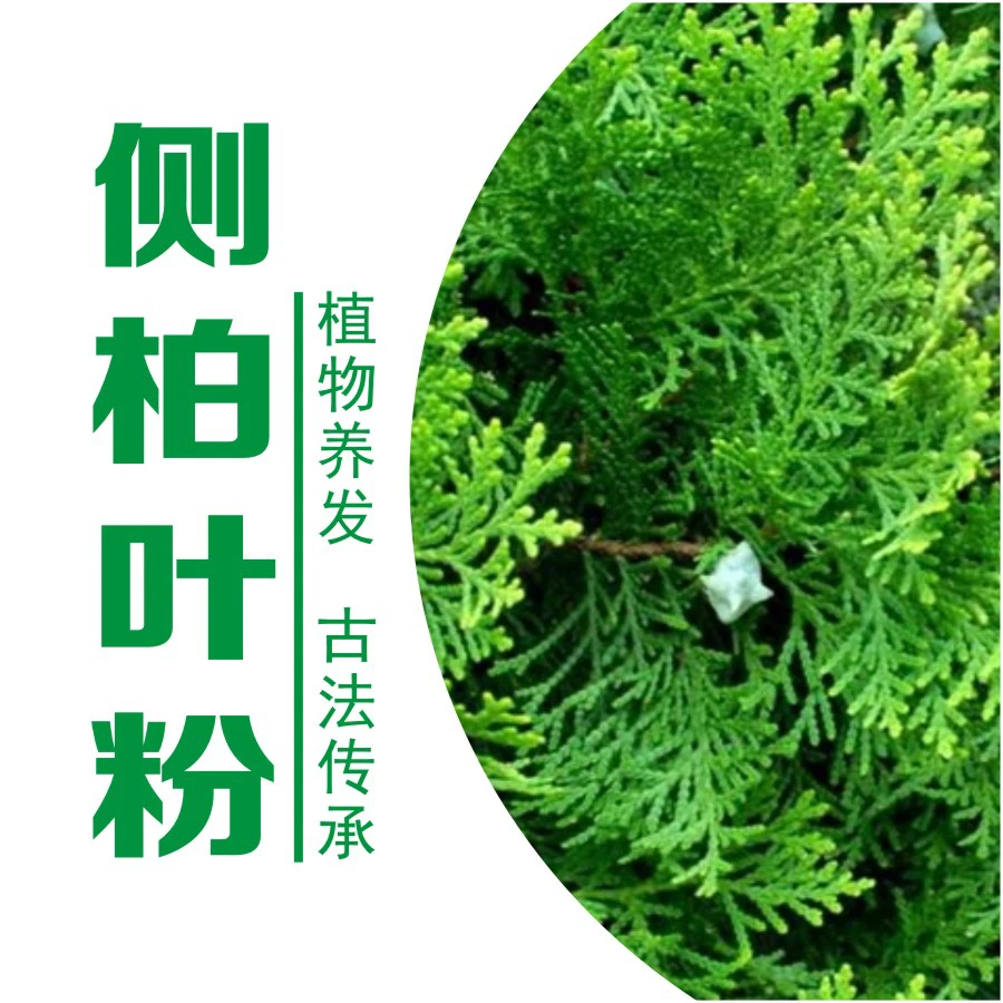 【古法传承-草本植物】（拍一发三）侧柏叶粉古法草本植物洗漱套装