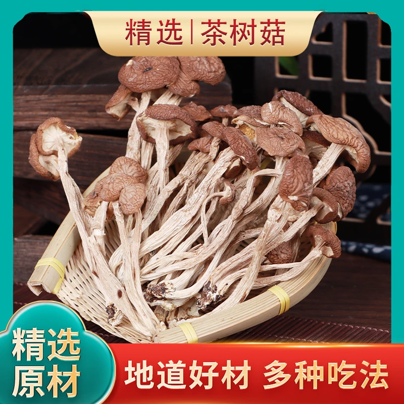 古田高山茶树菇干货未开伞煲汤料火锅优质油炸美食吃福建农家特产