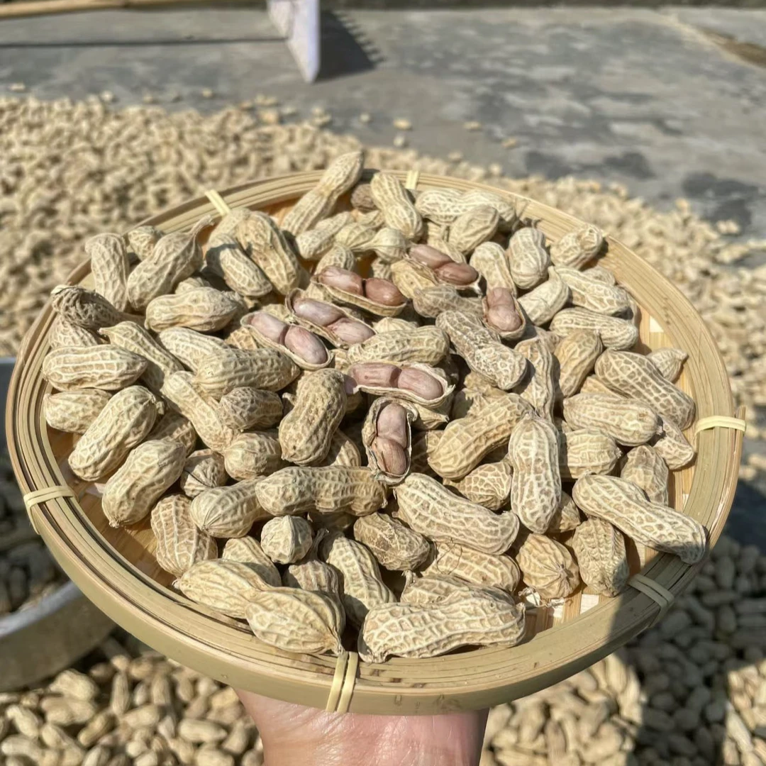 河源忠信水煮花生不上火咸干盐干咸味日晒干健康带壳坚果即食零食