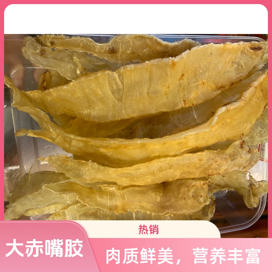 本港大赤嘴鱼胶花胶 赤嘴条 渔民自晒