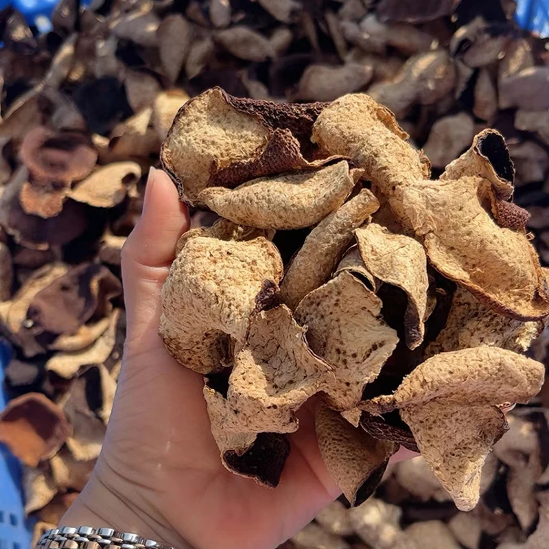 【五一开仓福利】天马圈枝3-5年大红皮断皮