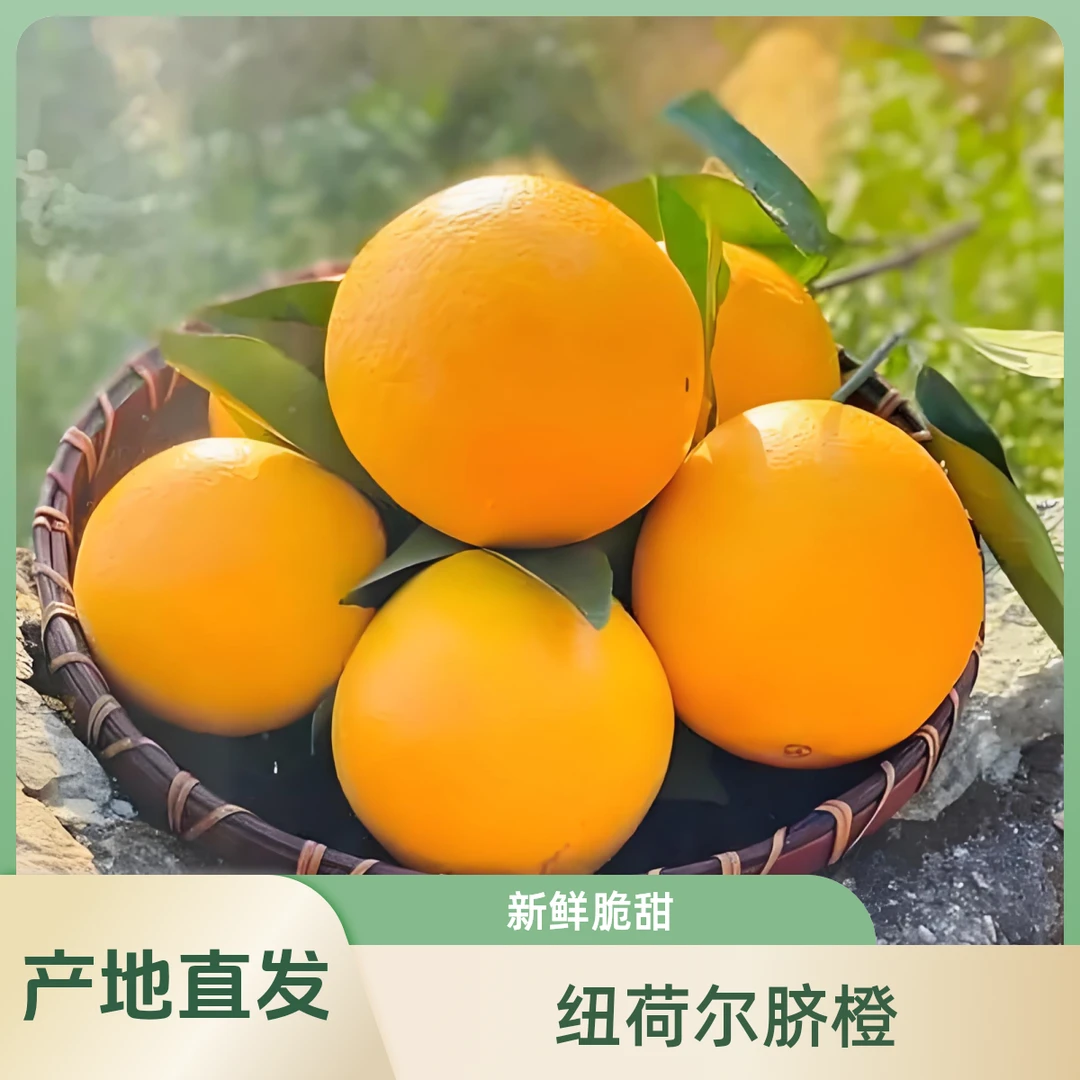 正宗纽荷尔脐橙湖北宜昌原产地直发坏果包赔