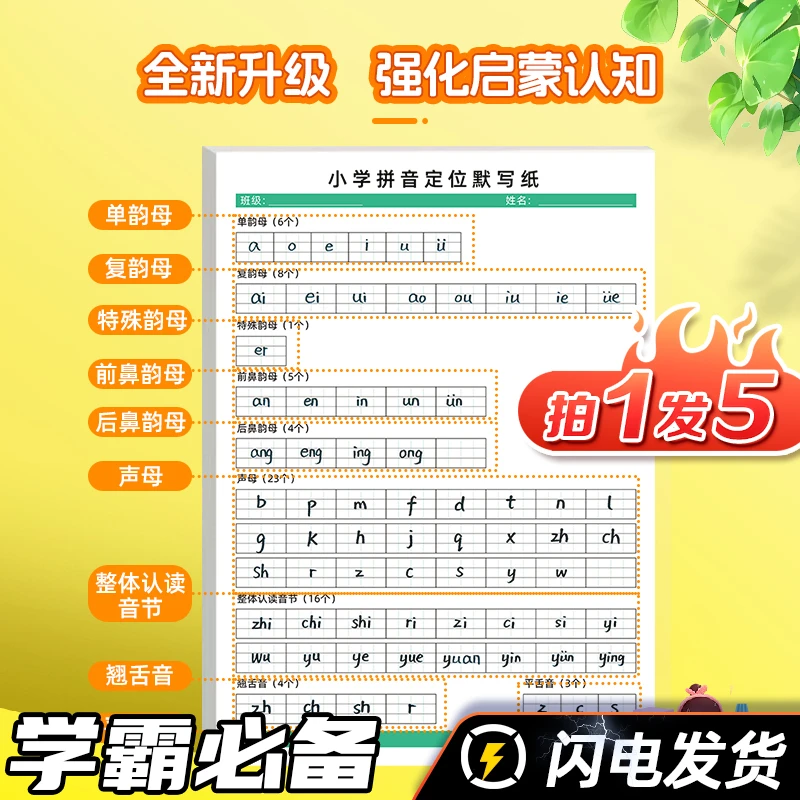 M【拍一发五】小学拼音定位默写纸幼小衔接声母韵母整体音节读写My1