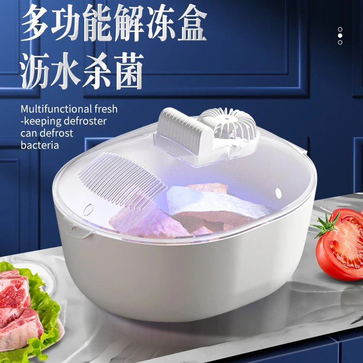 快速解冻器家用食品保鲜洗菜机大容量智能恒温冻肉类快速解冻机