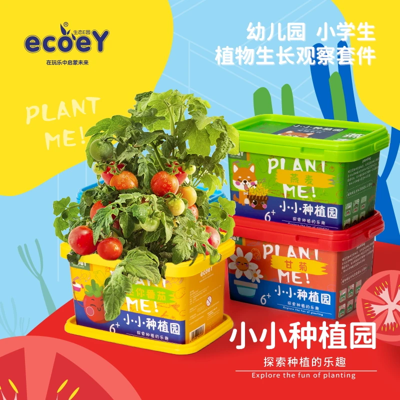 【代清】diy小小种植园小花农趣味生长客厅绿植蔬菜四季科学玩具