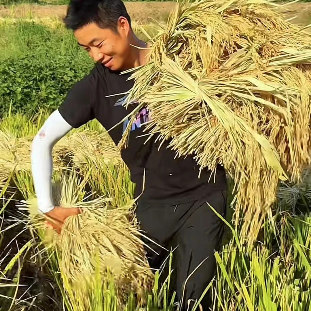 农村杂七杂八山货