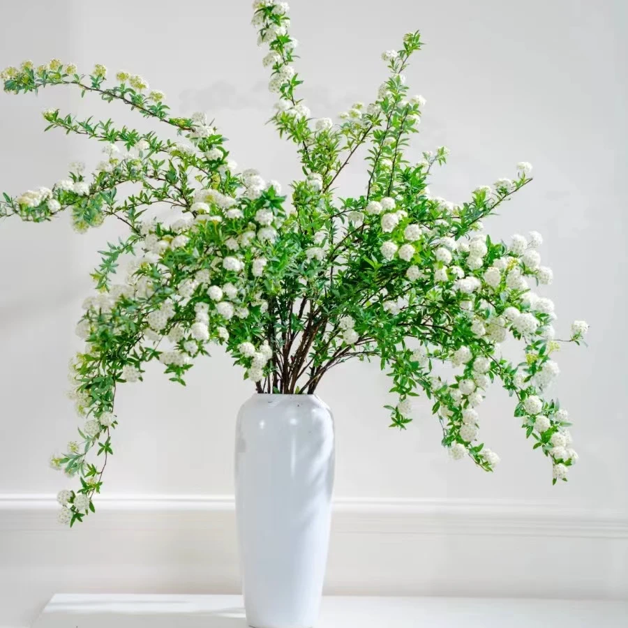 小手球鲜切花基地鲜花新鲜采摘婚庆星花怒放