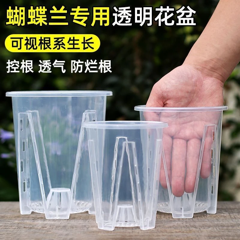 4个120蝴蝶兰透明花盆送托(口径12高14左右)