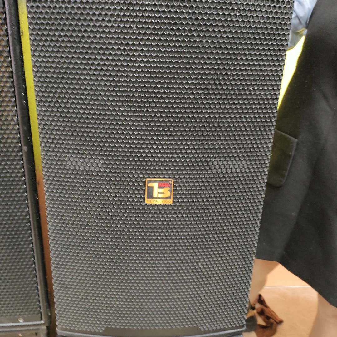 天博十二寸专业音箱一对，不包邮