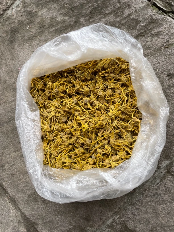 古滇土特产。 金-湖-菇500g