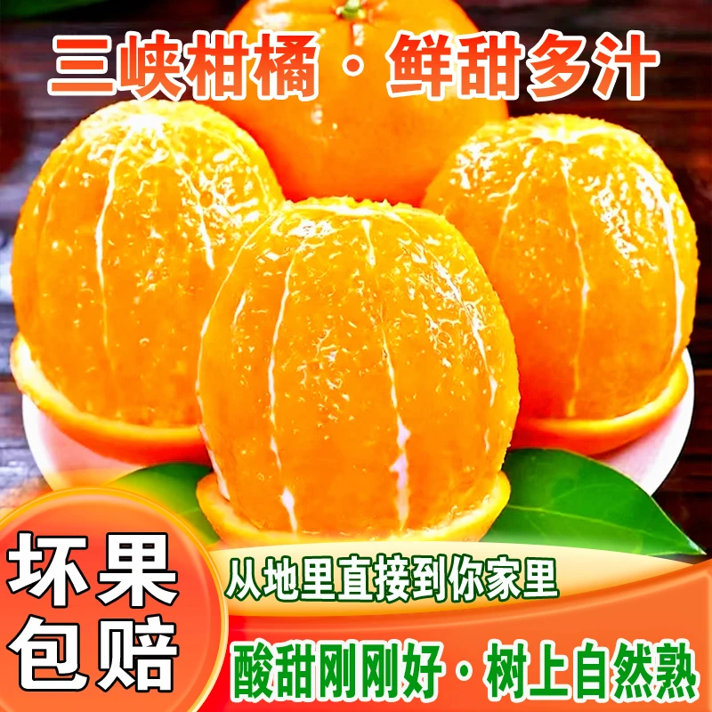 纽荷尔脐橙新鲜采摘九甜一酸当季水果脐橙甜橙子带箱9斤70-80果