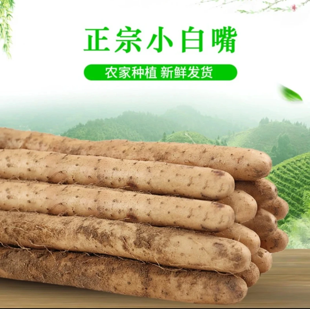 河北小白嘴铁棍山药垆土淮山药新产地发货现挖现发营养健康好吃