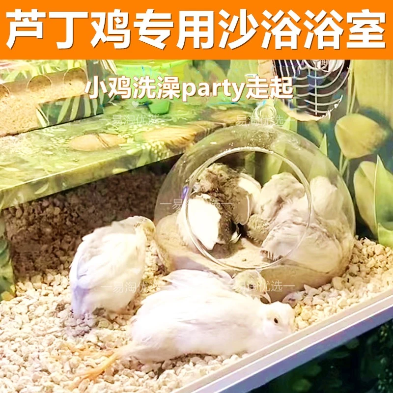 芦丁鸡沙浴沙子浴室洗澡除臭沐浴房浴盆沙池卢丁鸡鸡窝造景用品.