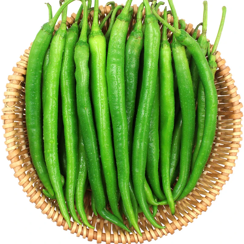 新鲜二荆条300-1000克