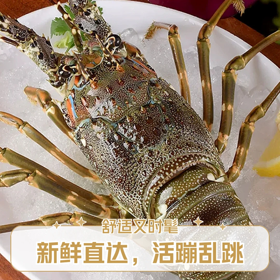 小青龙仔