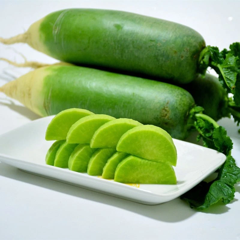 潍坊正宗水果萝卜3/5/9斤食用蔬菜农产品 潍坊发货（沈农学子专属）