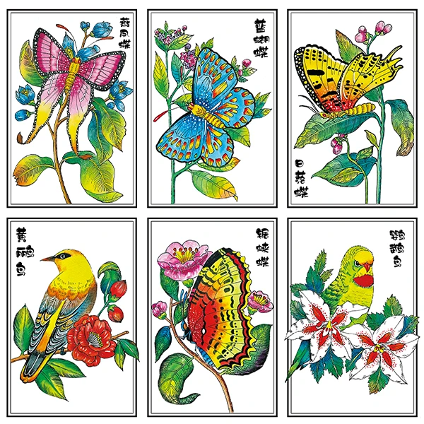 原创水彩系列花鸟类临摹卡16张16个视频16个PPT正反面覆膜创意美